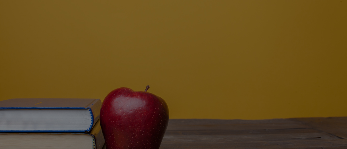 Curriculum / Children / Spark Classroom Cokesbury